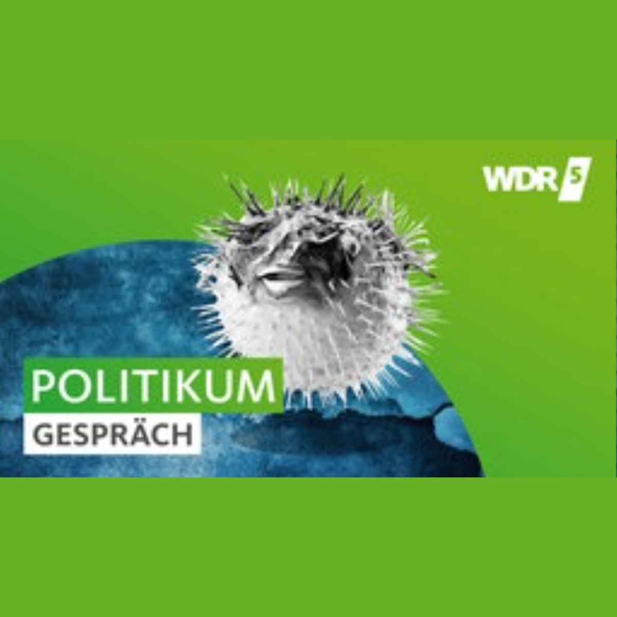 WDR: Klimawandel und Gesundheit – Staat muss mehr tun!