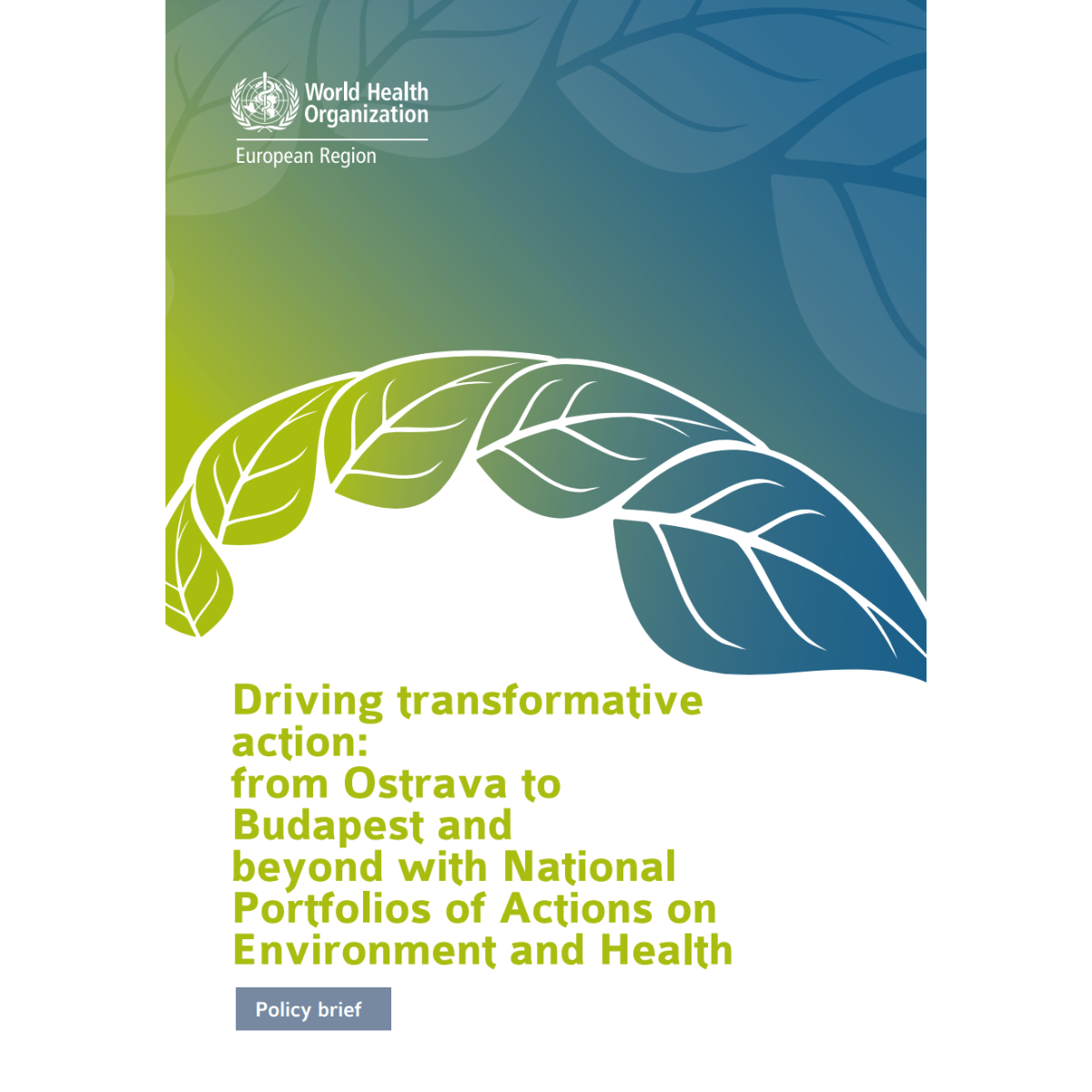 Dri­ving trans­for­ma­ti­ve action: from Ost­ra­va to Buda­pest and bey­ond with Natio­nal Port­fo­li­os of Actions on Envi­ron­ment and Health: poli­cy brief